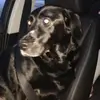 brianmasterson37 - @brianmasterson37 - TikTok