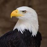 Brian Matheny - @bmath70 - Instagram