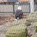 Brian Mather - Facebook