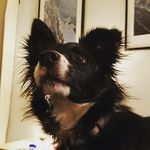 Brian Mather - @mather3150 - Instagram