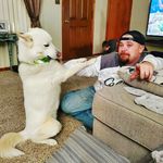 Brian Mathis - @southernflyfishing1776 - Instagram