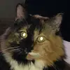 brianmatt710 - @brianmatt710 - TikTok