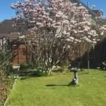 Brian Maule - @maule_brian - Instagram