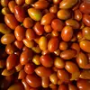 Brian Mazur - @brian.mazur - TikTok