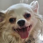 Brian McAdams - @bmacishere - Instagram