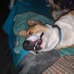 Brian Mccalister - @mccalister_brian - Instagram