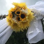 Brian - @brian.mccaskill - Instagram