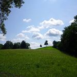Brian McClellan - @dumbredneck2020 - Instagram