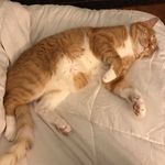 Brian J McCombs - @brianjmccombs - Instagram