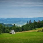 Brian Mccracken - @brianmccracken74 - Instagram