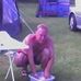 Brian McCreadie - Facebook