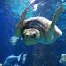 Brian McCreight - Facebook