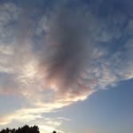 Brian McDougal - @mcdougal7217 - Instagram