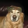 Brian McDougall - @brian.mcdougall3 - TikTok