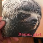Brian McDougall - @bmcdougall1 - Instagram