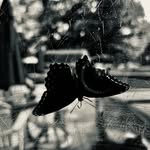 Brian Mcdowell - @the_truth_lies6 - Instagram