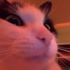 Brian McAnnaney - @.brian.m - TikTok