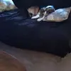Brian Mcfall - @brian.mcfall1 - TikTok