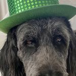 Brian McGoldrick - @bmac_02132 - Instagram