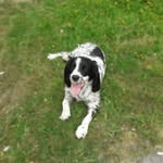 Brian Mc Gregor - @brian.mcgregor.545 - Instagram