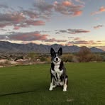 Brian McGregor - Facebook