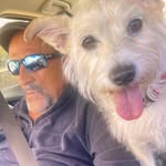 Brian McGregor - @brianmcgregor33 - Instagram