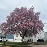 Brian McGuire - @we_the_people_112376 - Instagram