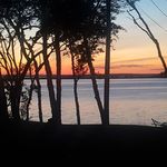 Brian mckinney - @brian.mckexc - Instagram