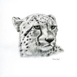 Brian Mead - @meaddraw - Instagram