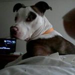 Brian Mead - @meadbrian - Instagram