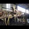 Belcotton Holsteins - @brianmeegan83 - TikTok