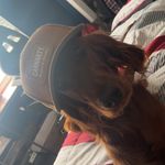 Brian Meegan - @brian_meegan - Instagram