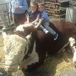 Brianmeegan - @brianmeegan - Instagram