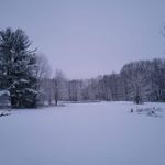 Brian Meigs - @brian.meigs - Instagram