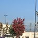 Brian Mendes - Facebook