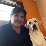 Brian Mendes - @bripatnat - Instagram