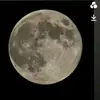 Brian Mendez - @brianmendez075 - TikTok