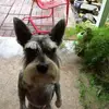 Brian Mendez - @brian_m06 - TikTok