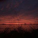 Brian Meredith - @let_em_work - Instagram