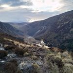 Brian Merrick - @merrick_brian - Instagram