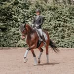 Mette Brandt - @brandtdressage - Instagram