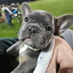 Brian Michaud - @brianmichaud - Instagram