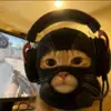 brianmelchor_ - @brianmelchor_ - TikTok