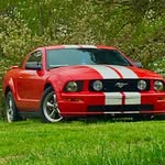 Brian Middaugh - @rollerpigeon63 - Instagram