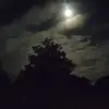 Brian Middlemiss - @brian.middlemiss - TikTok