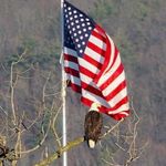 Brian Midkiff - @brian.midkiff.56 - Instagram