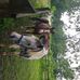 Brian Midkiff - Facebook