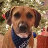 Brianna Miele495 - @mielebrianna - TikTok