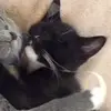 Briannamier - @briannamier - TikTok