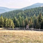 Brian Mifflin - @bmifflin - Instagram